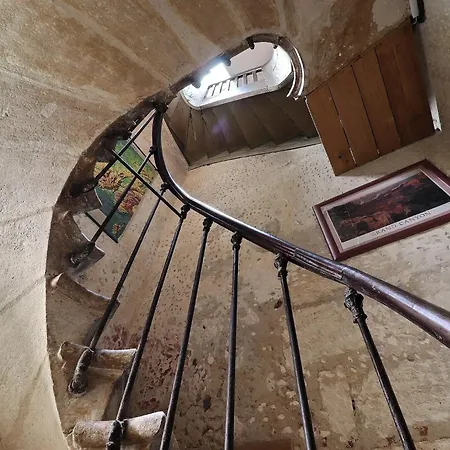 B&B Le Miroir aux Fées Bordeaux-2